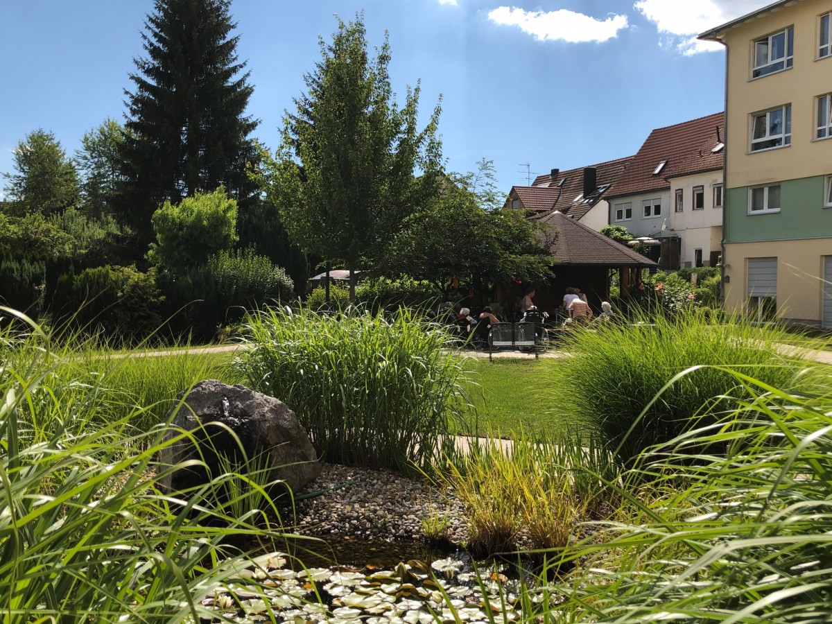 Green area with a pond in the foreground, surrounded by tall grasses and stones, with residential houses and trees in the background.