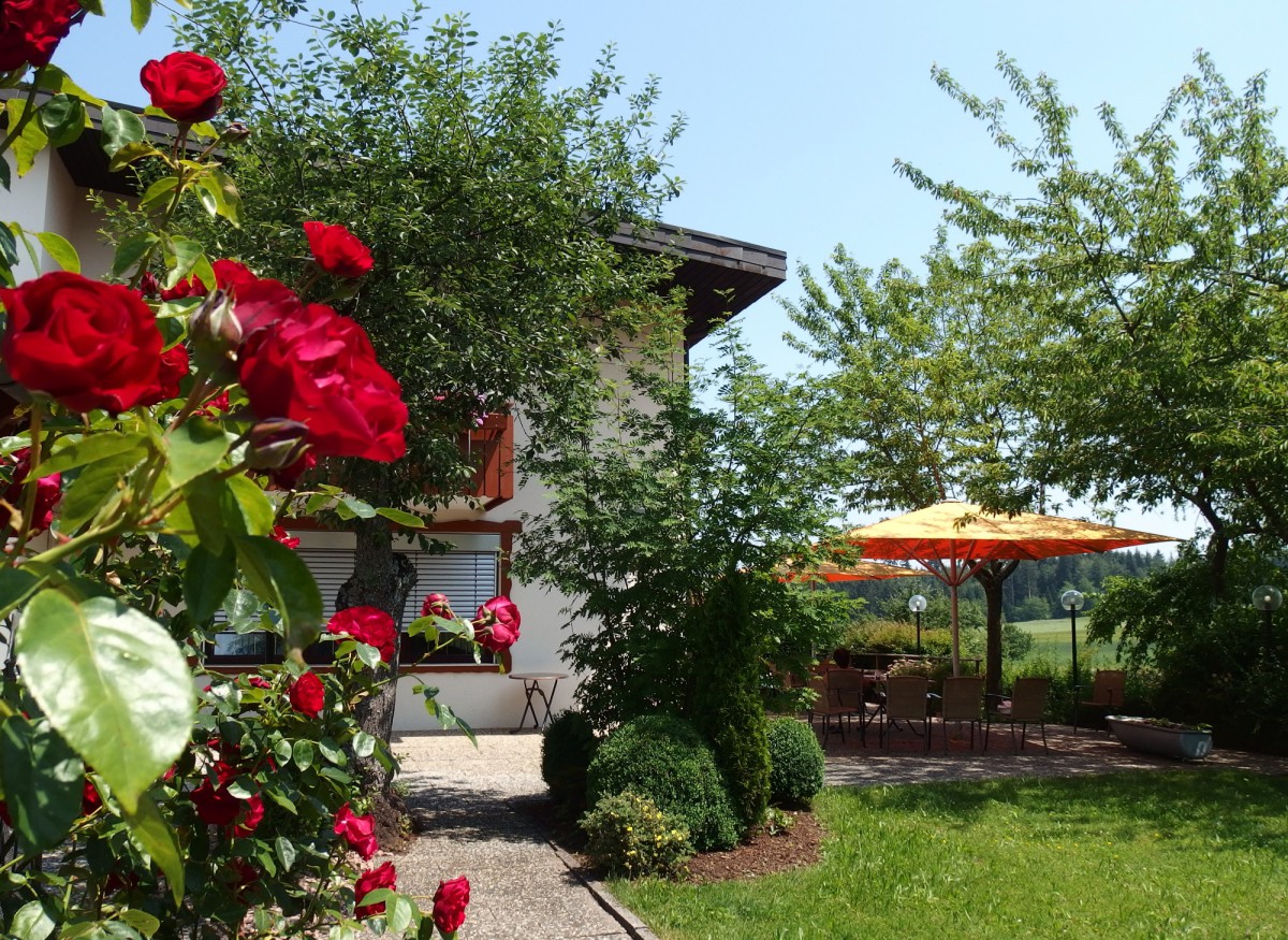 Blühende rote Rosen im Vordergrund rahmen eine Gartenszene mit Haus, Terrasse und orangenem Sonnenschirm ein.