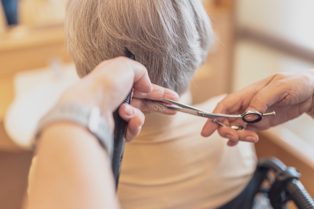 Friseurhände schneiden graues Haar mit einer Schere.